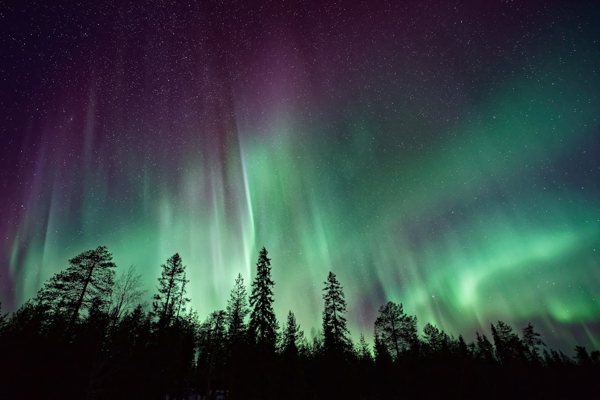 The Four Elements: How Fire, Earth, Air, and Water Shape Founders